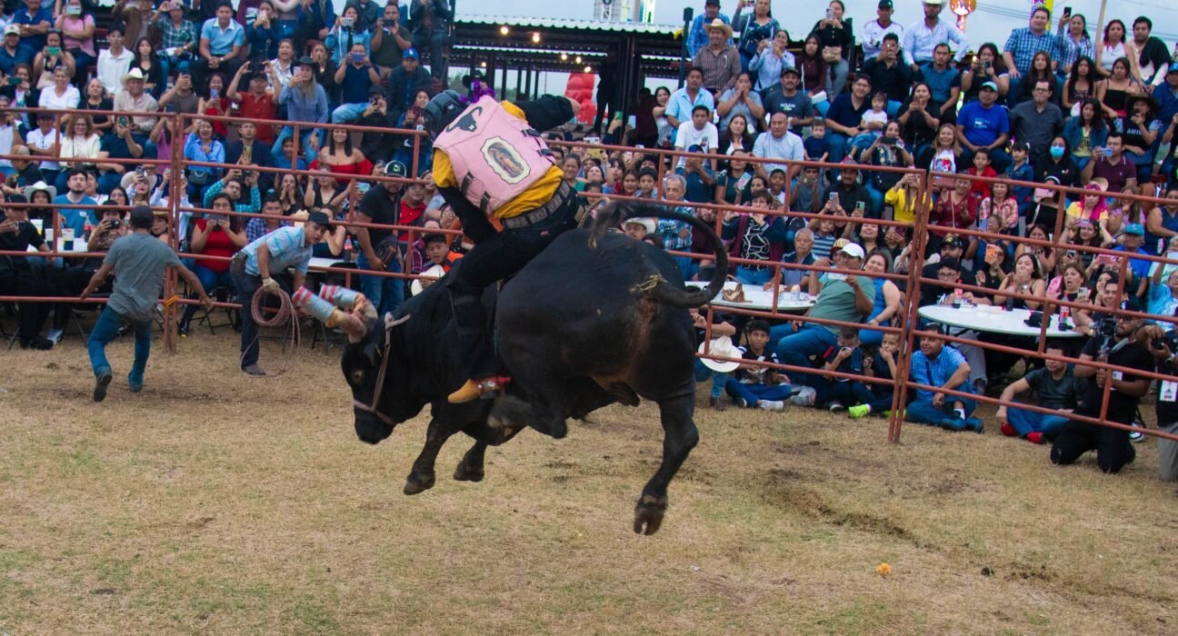 Gran Jaripeo 2026, en la zona ganadera de la Expo Feria Coatza 2026