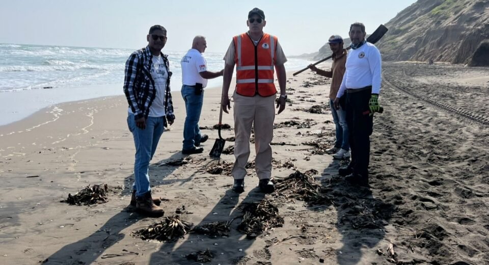 Garantiza PMA limpieza de playas tras arribo de residuos de hidrocarburo 