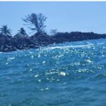 Reconoce gobernadora Rocío Nahle trabajo del alcalde Pedro Miguel Rosaldo en Coatzacoalcos