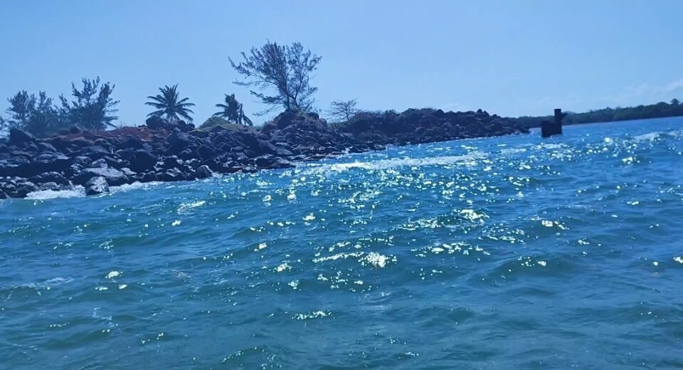 Vigilancia por hidrocarburo y playas limpias para Semana Santa: Rocío Nahle