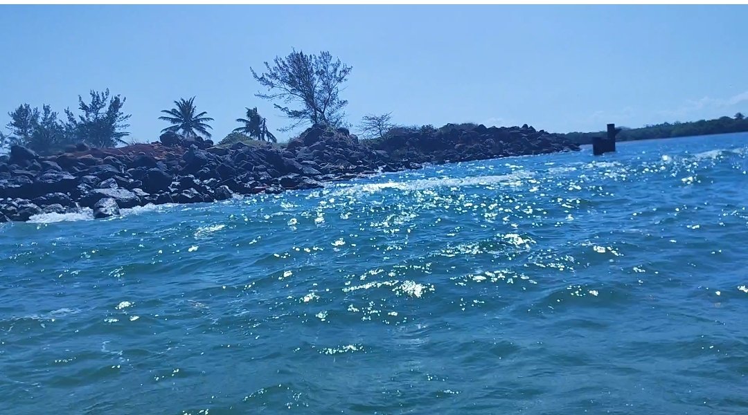 Vigilancia por hidrocarburo y playas limpias para Semana Santa: Rocío Nahle Vigilancia por hidrocarburo y playas limpias para Semana Santa: Rocío Nahle
