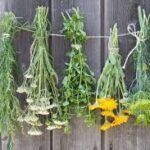 Asegurados 74 mil litros de hidrocarburo y detenidas 41 personas en operativos de seguridad