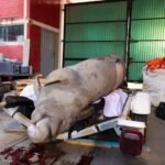 Abre SECVER capacitación para fortalecer proyectos culturales comunitarios