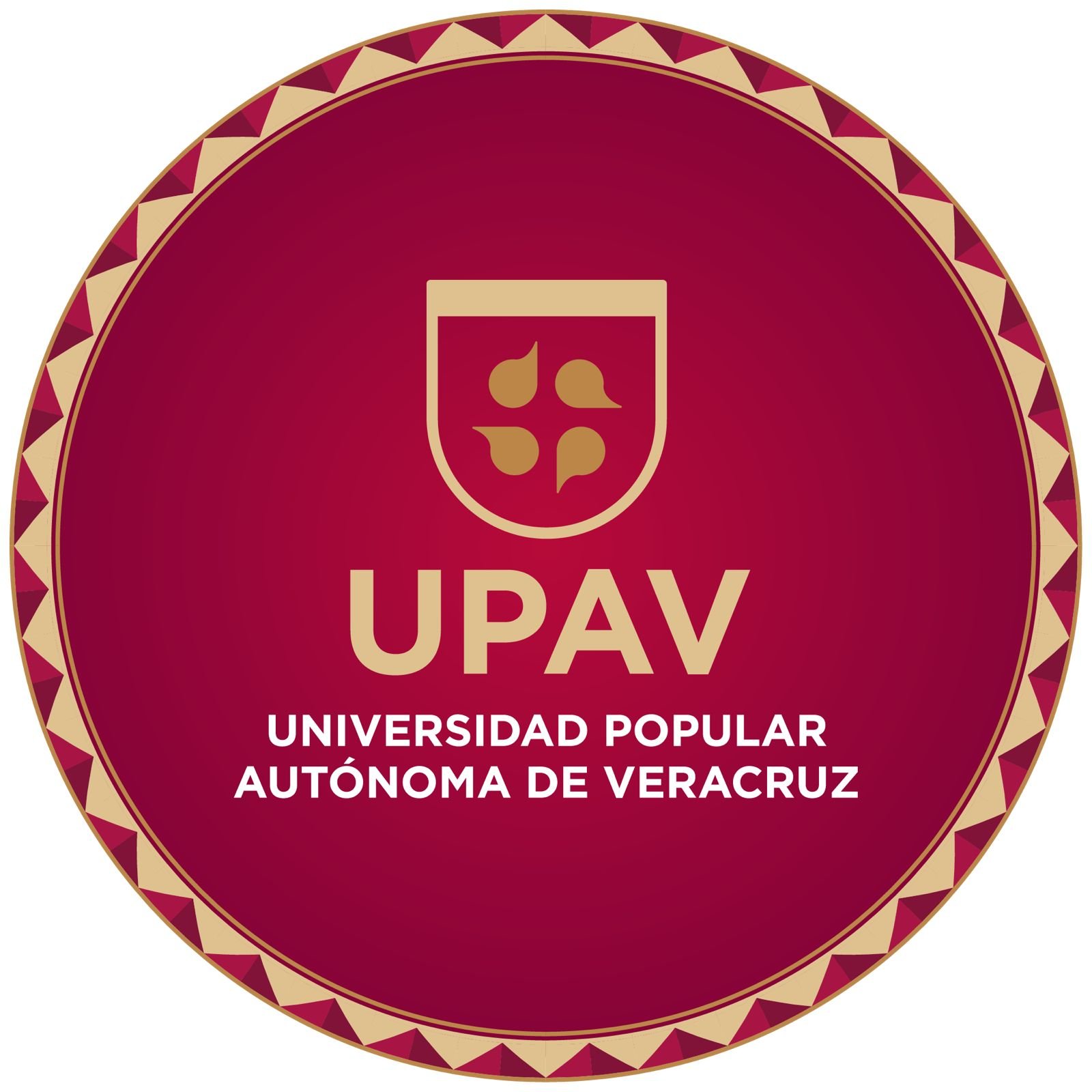 Incrementa Veracruz 40% el salario de docentes de la UPAV 
