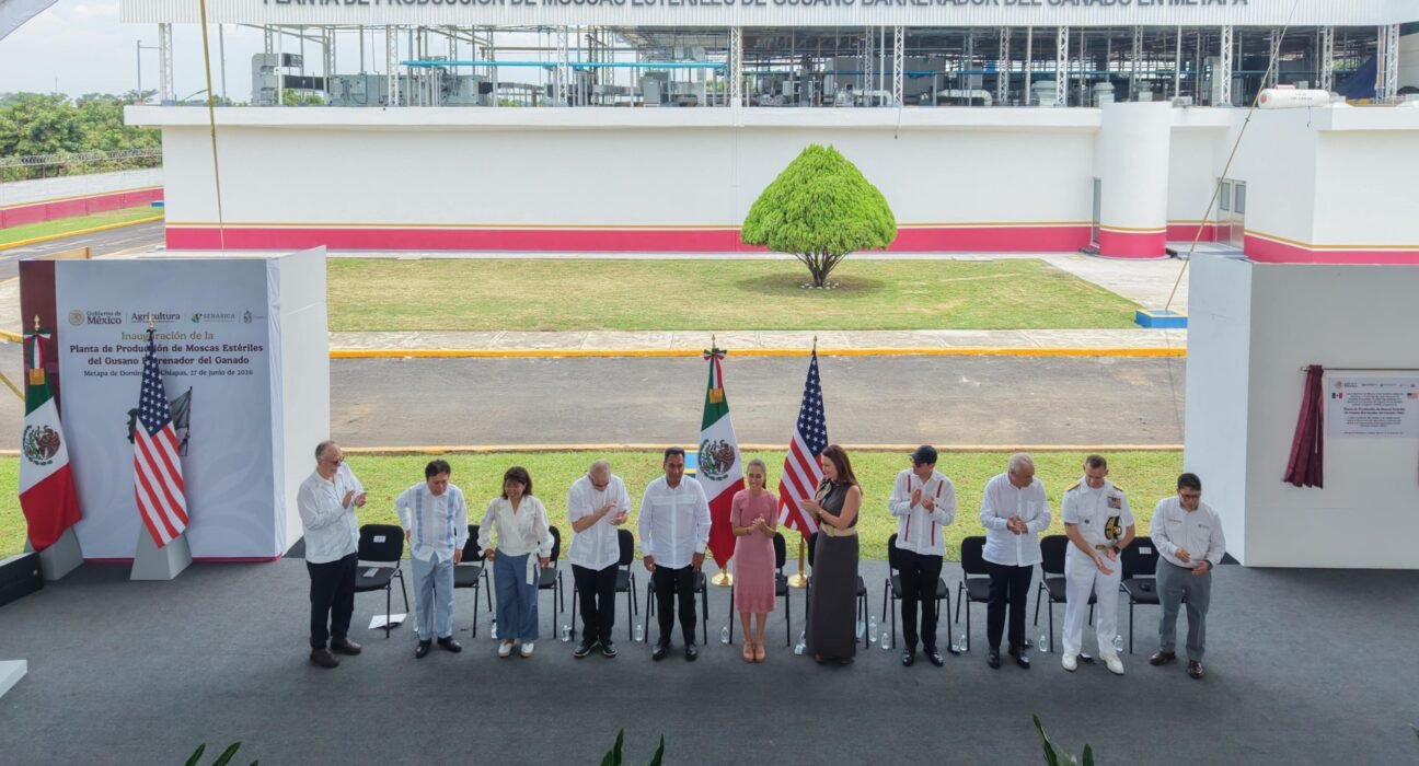 PRESIDENTA CLAUDIA SHEINBAUM INAUGURA PLANTA DE PRODUCCIÓN DE MOSCAS ESTÉRILES DEL GUSANO BARRENADOR DEL GANADO EN METAPA DE DOMÍNGUEZ, CHIAPAS