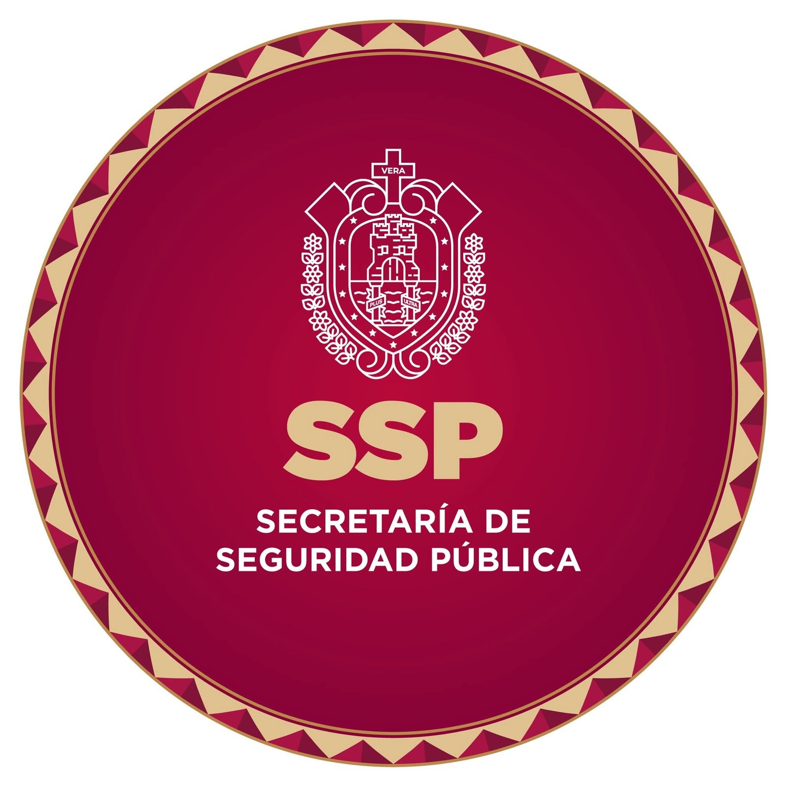 Mantiene Gobierno de Veracruz operativo de búsqueda tras reporte de privación de la libertad de comunicadora