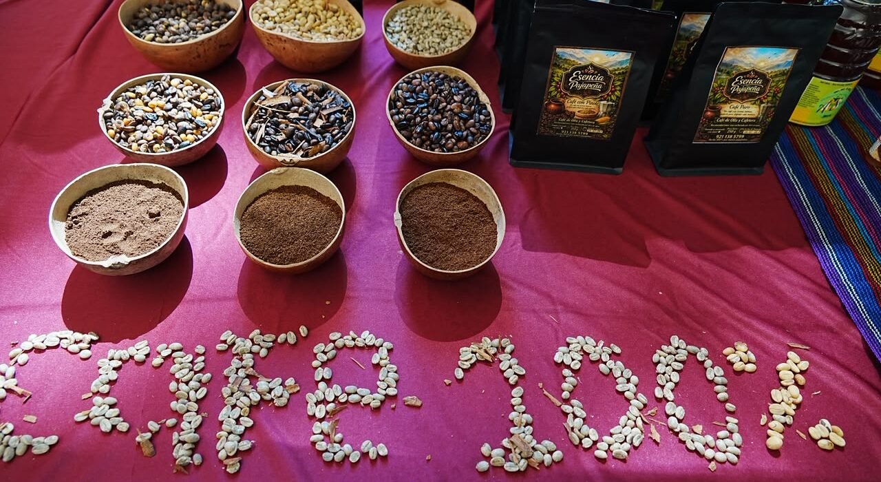 Foros Regionales de Café trazan una ruta para preservar la cultura cafetalera