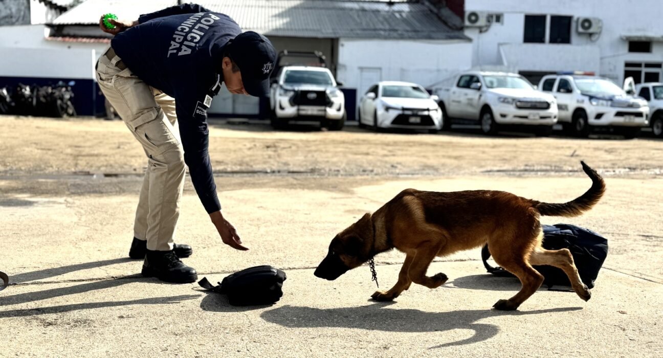 La Policía Municipal fortalece su Unidad Canina con certificación de agentes K9