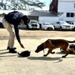 Reanudan maniobras nocturnas para colocar tetrápodos de 21 toneladas en las escolleras de Coatzacoalcos