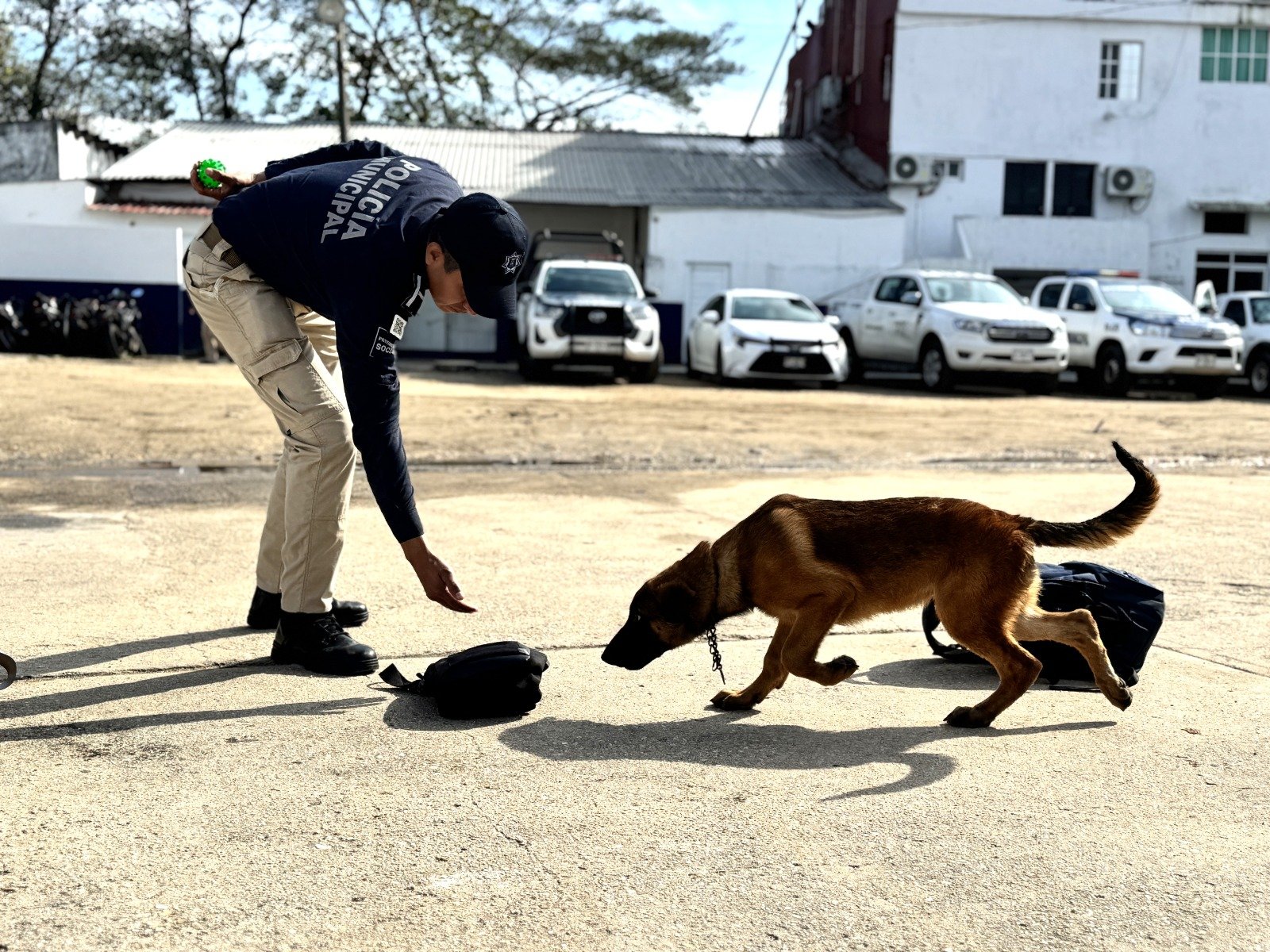 La Policía Municipal fortalece su Unidad Canina con certificación de agentes K9