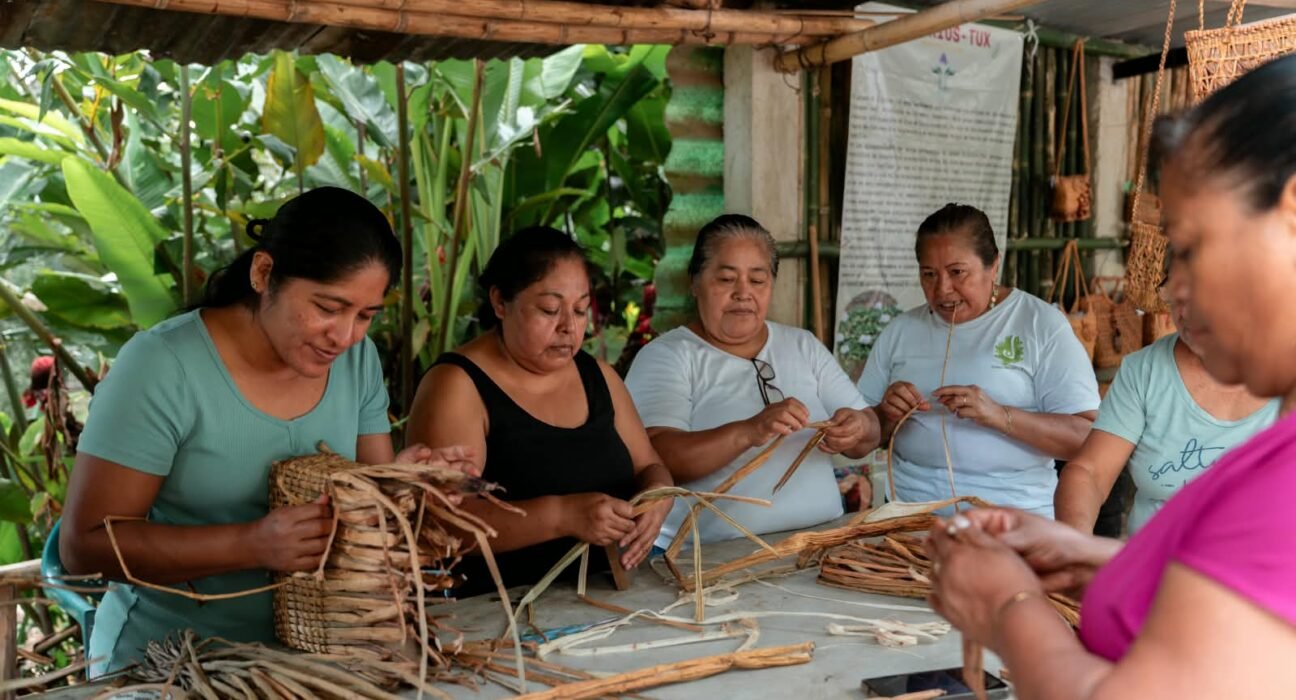 Explora una forma diferente de conocer Veracruz mediante el turismo comunitario