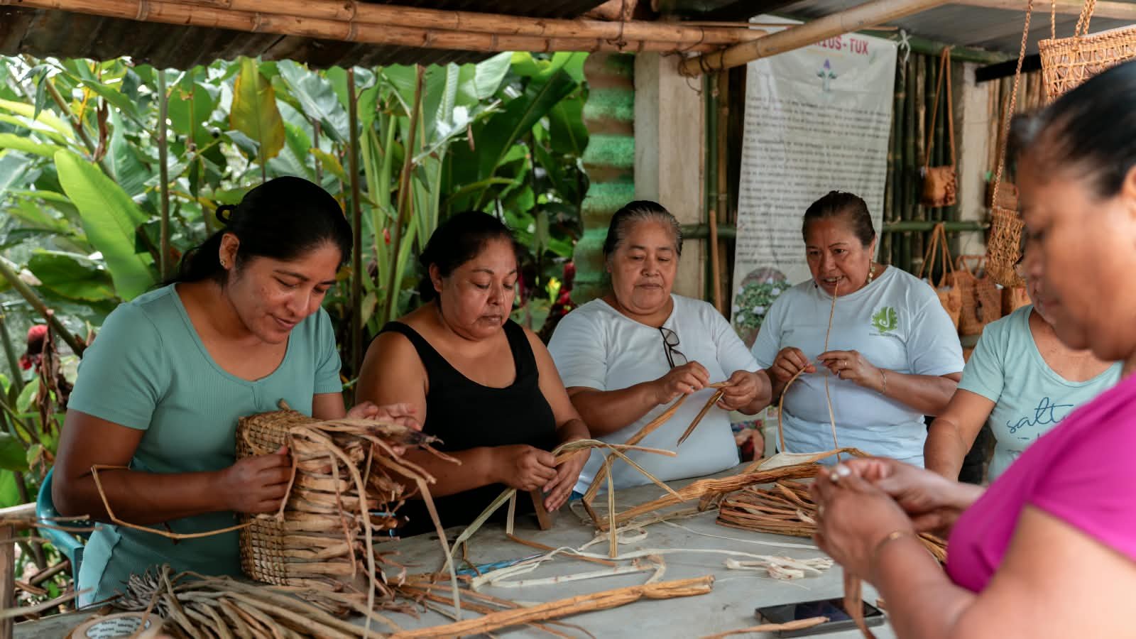Explora una forma diferente de conocer Veracruz mediante el turismo comunitario
