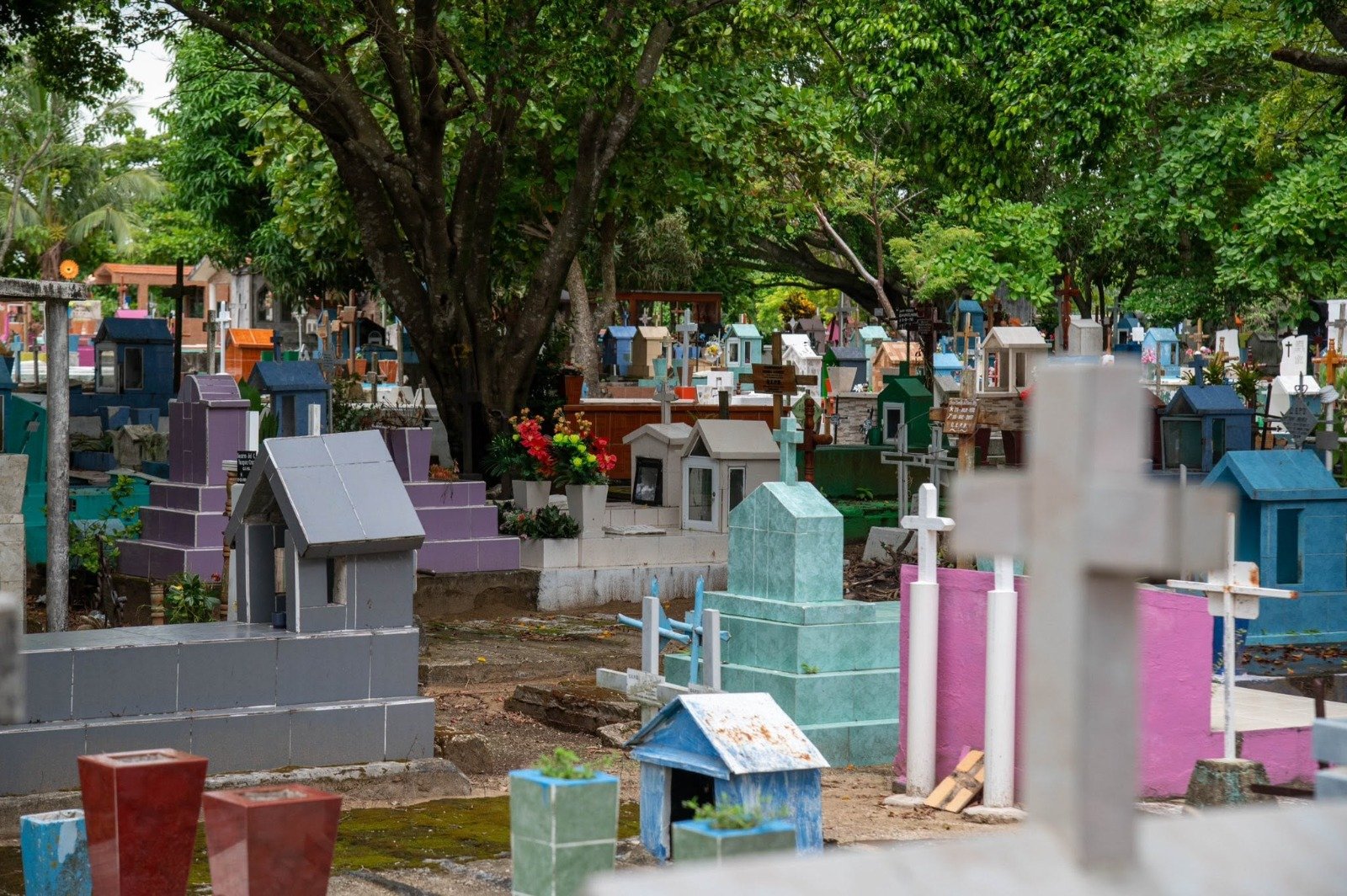 Coatzacoalcos reforzará limpieza y fumigación de panteones con el programa “Descanso Digno”